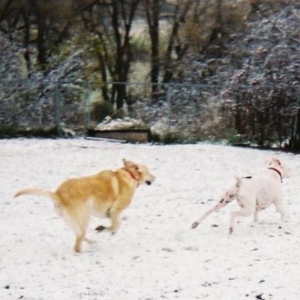 Catch Me if You Can!
