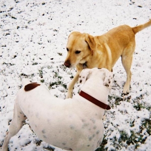The Stand-Off