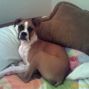Queen Kimber