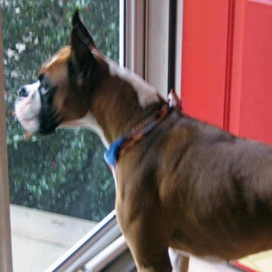 Waiting for his girls to come home from school.