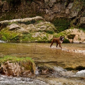 Meandering