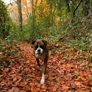 Autumn's here