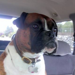 Are we there yet?