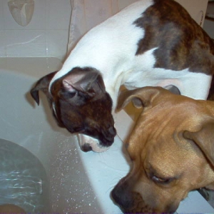 Bath Time