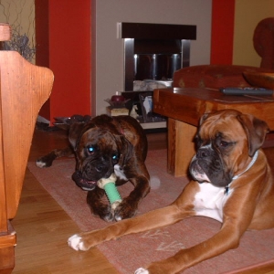 Lola and Zeb 25 Nov 06