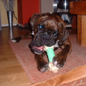 This is all mine Zeb so back off