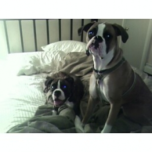 Leo and his best friend Blue