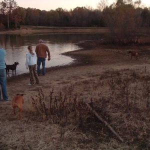 Shelby Farms Dog Park