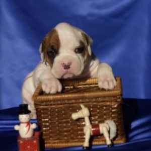 Terramotto at 3 weeks