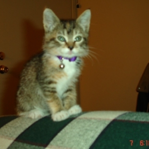 Loki as a baby