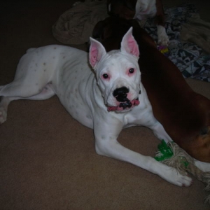 Our friend Sassy