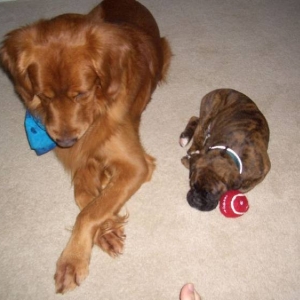 Chunk with his big brother, Gus