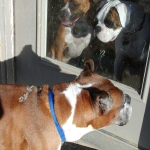 Tyson and our girls