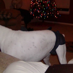 Payton and the diaper
