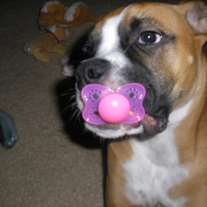 Revan 5 months