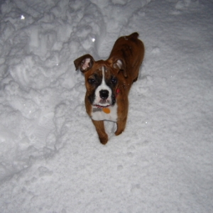 snow day