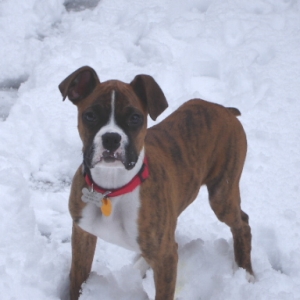 snow2006_021_00