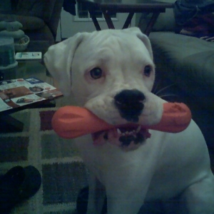 Wanna play?