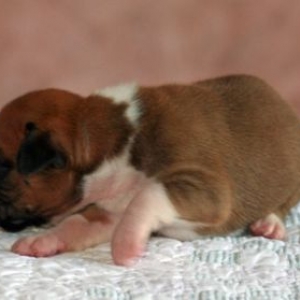 Two Weeks Old 2