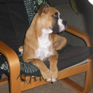 Revan 11/27/2006