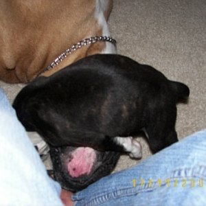 Smothering big brother