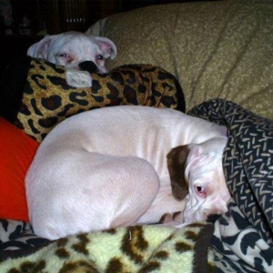 *shhhh* Maybe she won't see us! Night Night time!