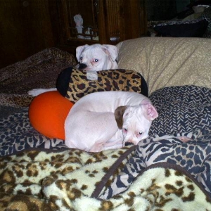 Same thing.. every night.. MOVE OVER you TWO!!!