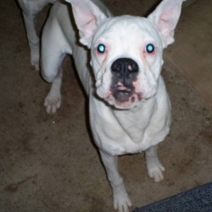 Wha??? You talkin' to me!!??? I'm all EARZZZZZ