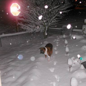 What's this white stuff?