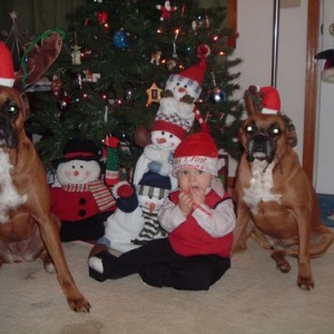 XMAS 2006