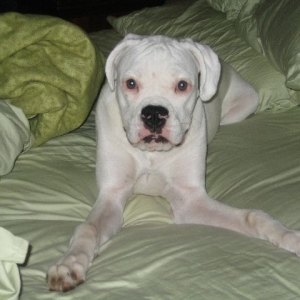 What this is my bed!