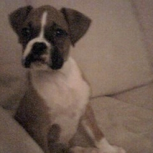Baby Paris