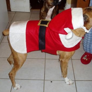 Santa Harley