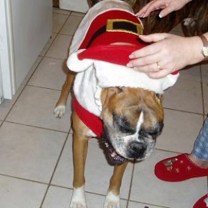 Santa Suit