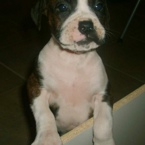 my baby <3