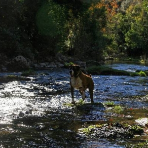 River running