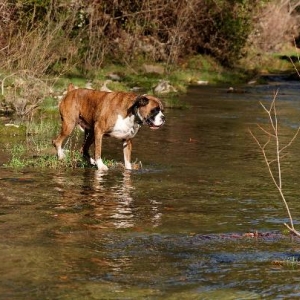 Wet feet