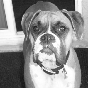 Samantha - 17 Month's Old