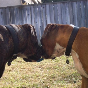 Samantha & Syd