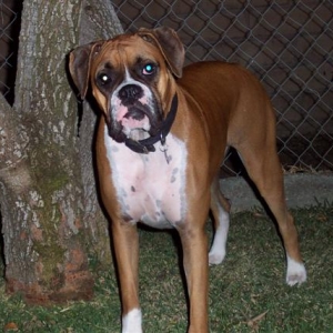 Samantha - 17 Month's Old