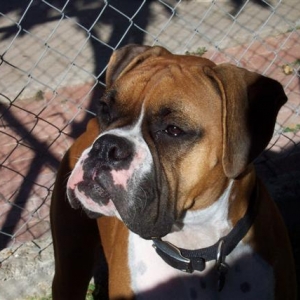 My Beautiful Girl Samantha