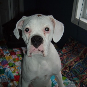 A Face only a mother could love!