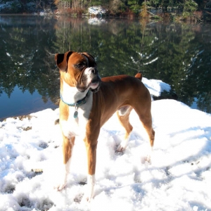 Walking at the lake