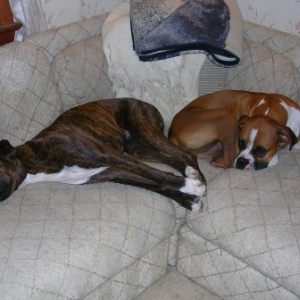 Kilbane & Jazzy