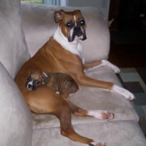 Paris and Diesel