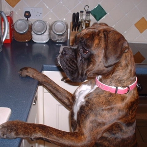 Caught in the act
