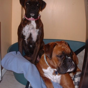 Squashed