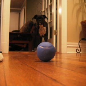 It's all about the Ball.