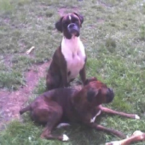 Pals forever