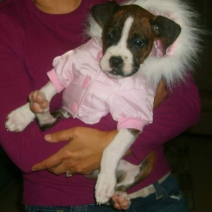 pink jacket